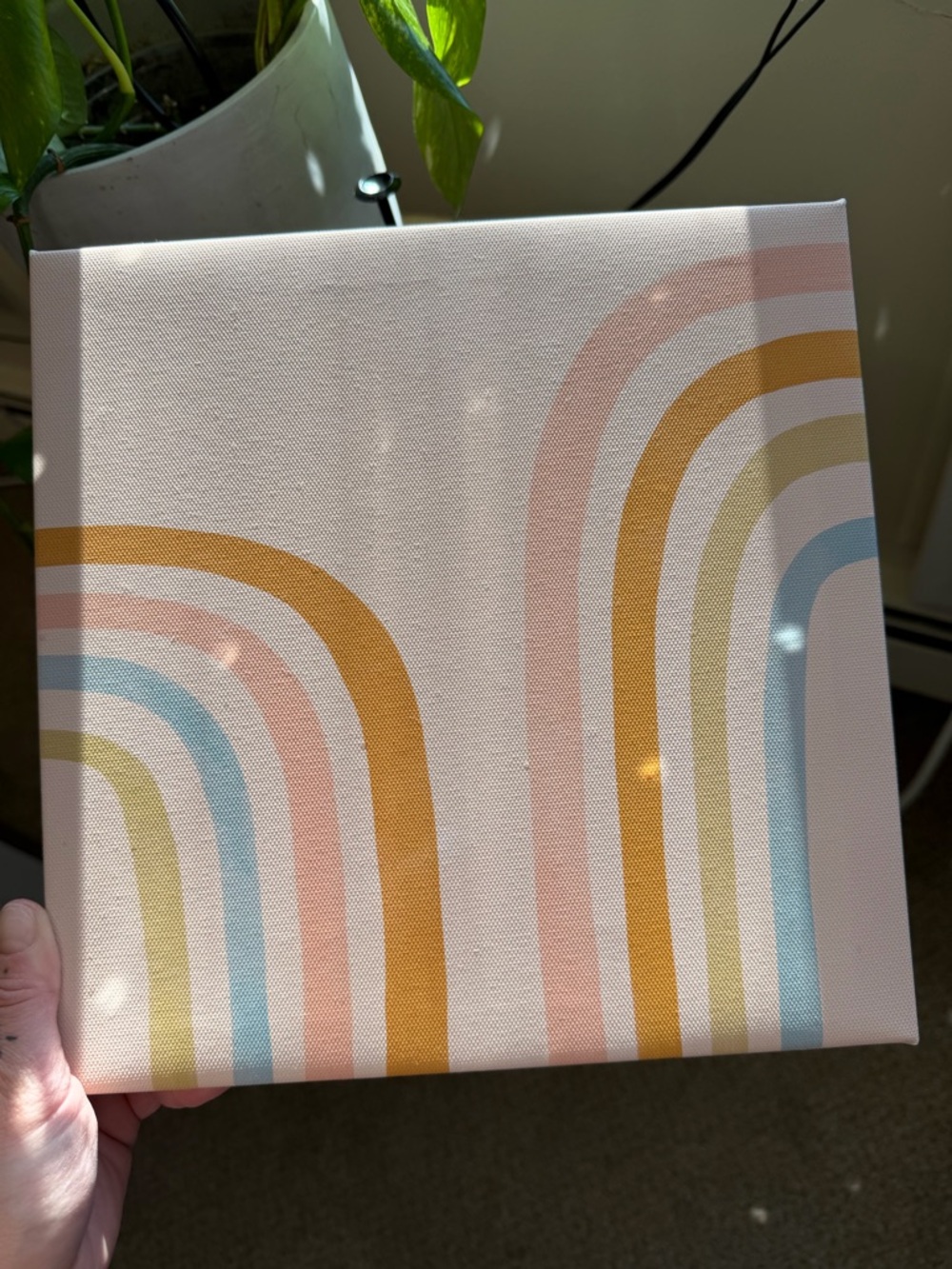 Canvas